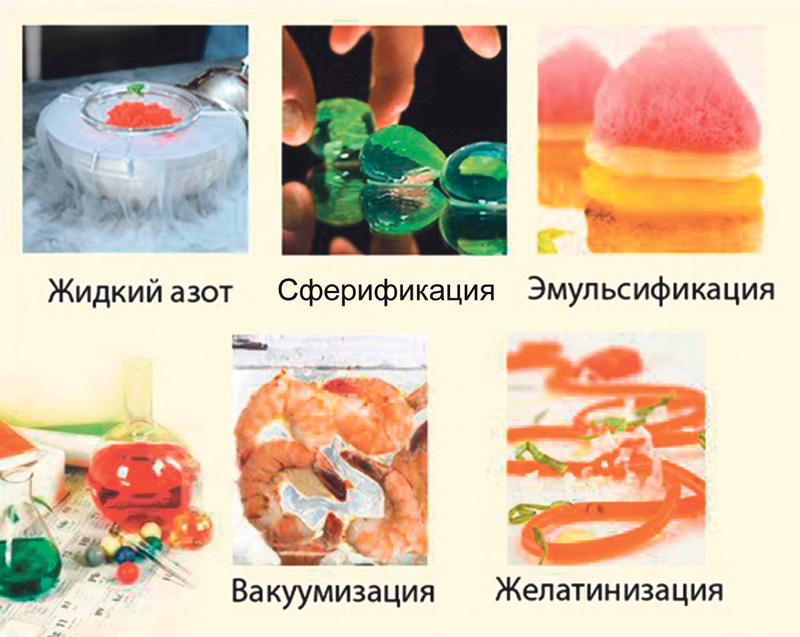 Все рецепты молекулярной кухни в домашних условиях Все рецепты молекулярной кухни в домашних условиях