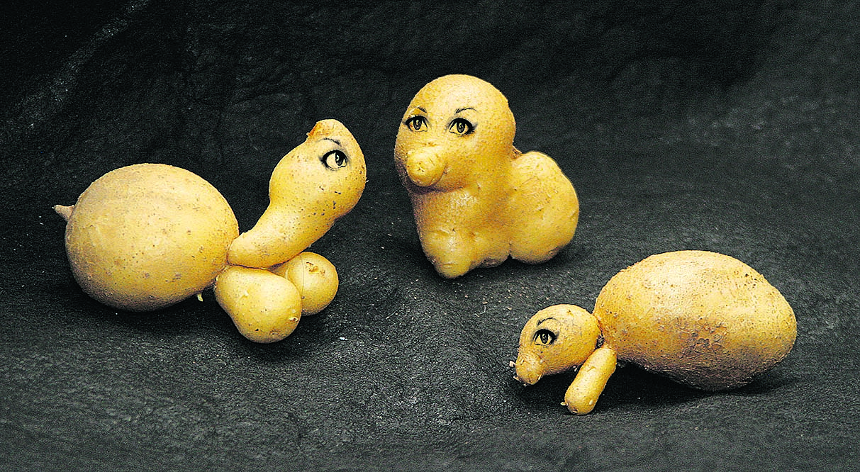 В огороде осень бродит