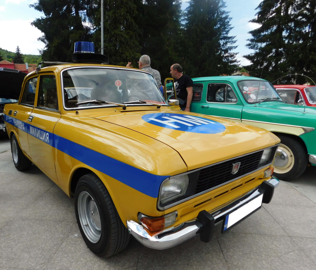 126_310.jpg