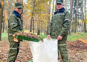 Сохраним лес вместе