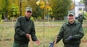 Плечом к плечу