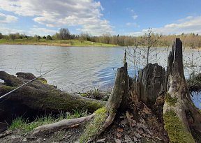 Весенний запрет