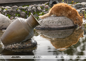 В ожидании чуда