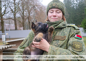 И в караул пойдут, и мину обнаружат